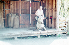 1972 Tarunga & Rota Rua New Zealand
